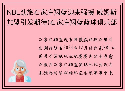 NBL劲旅石家庄翔蓝迎来强援 威姆斯加盟引发期待(石家庄翔蓝蓝球俱乐部)